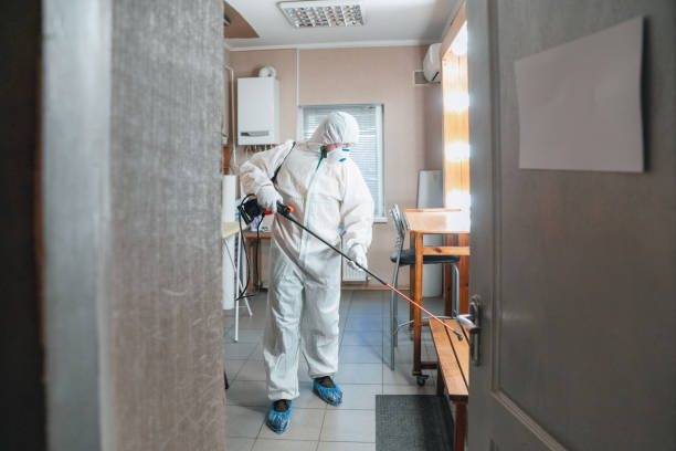 Best Post-Construction Mold Inspection  in Venice Gardens, FL
