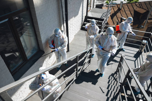 Best Forensic Mold Investigation  in Venice Gardens, FL