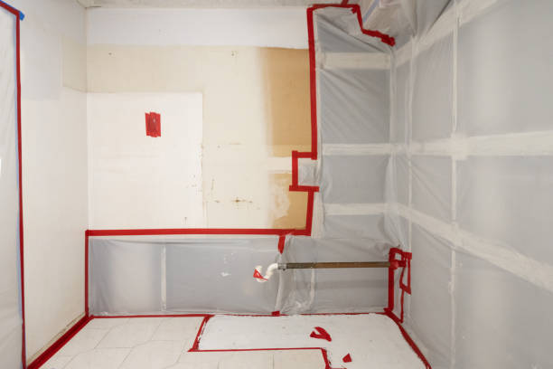 Best Mold Damage Restoration  in Venice Gardens, FL