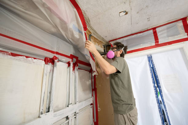 Best Mold Odor Removal Services  in Venice Gardens, FL